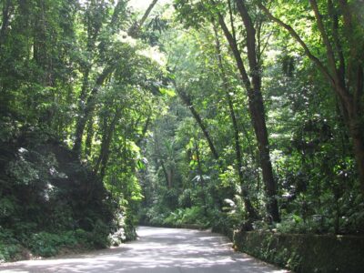 38cbb0f0355bdec4f9bdc12a48b74c5f