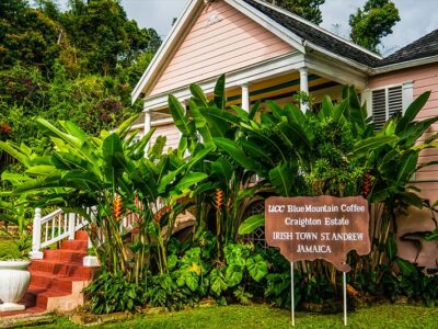 Blie-Mountain-Coffee-Craighton-Estate