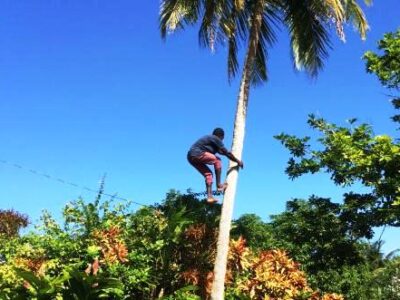 Sun-Valley-Plantation-Tour_1472353920__AXSL_5313