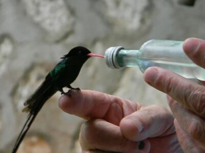 rocklands-bird-sanctuary-6